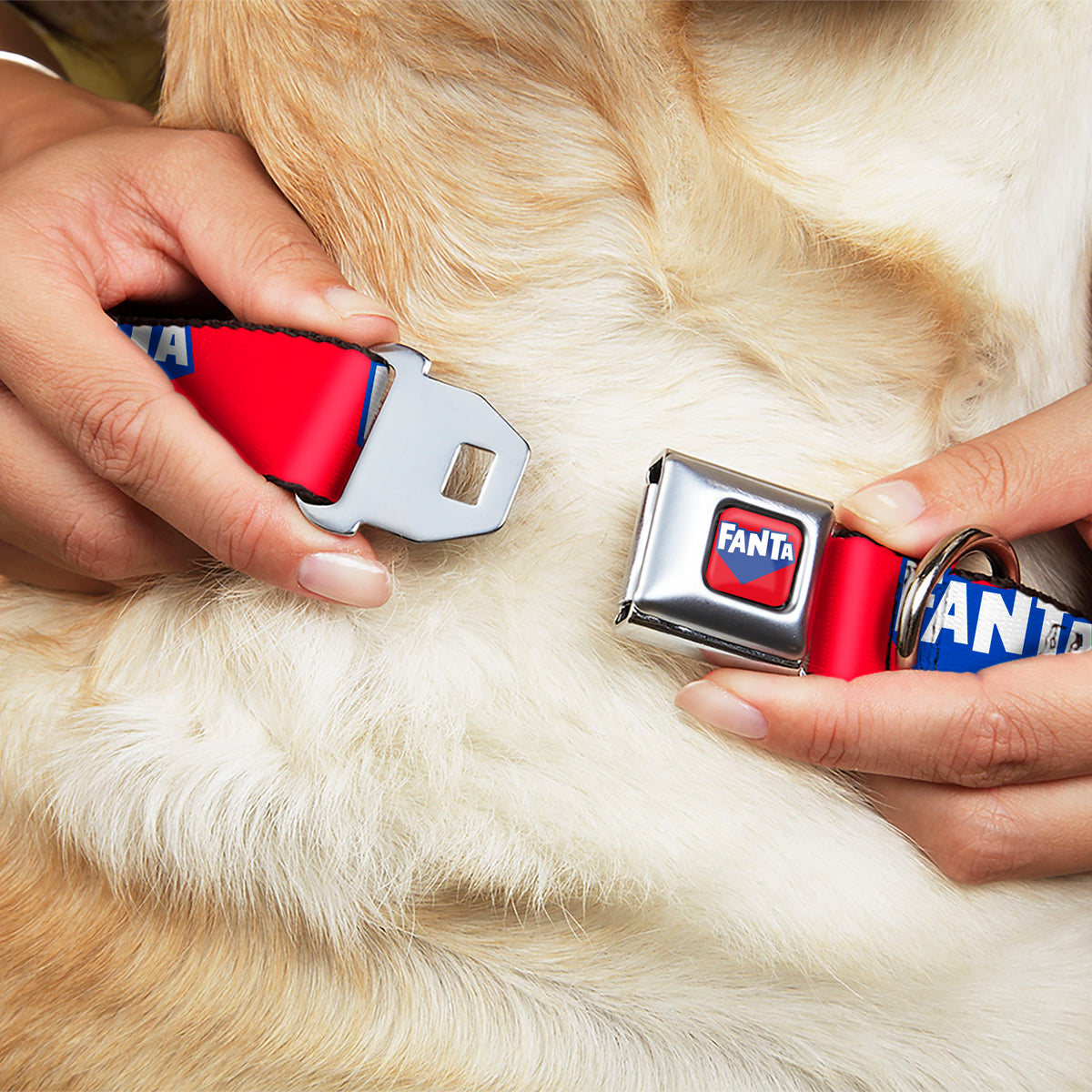 FANTA Logo Full Color Strawberry Red/Blue/White Seatbelt Buckle Collar - FANTA Logo Strawberry Red/Blue/White Dog Collars Seatbelt Buckle Coca-Cola