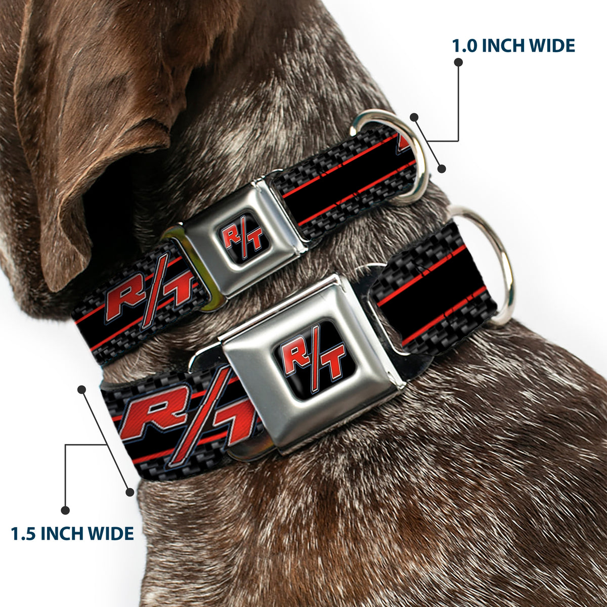 Dodge Challenger R/T Emblem Full Color Black/White/Red Seatbelt Buckle Collar - Dodge Challenger R/T Emblem/Carbon Fiber Stripe Grays/Black/Red Dog Collars Seatbelt Buckle Dodge