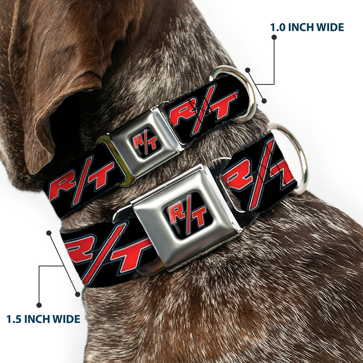 Dodge Challenger R/T Emblem Full Color Black/White/Red Seatbelt Buckle Collar - Dodge Challenger R/T Emblem Repeat Black/Blue/White/Red Dog Collars Seatbelt Buckle Dodge