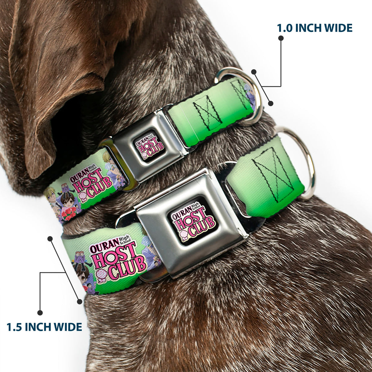 OURAN HIGH SCHOOL HOST CLUB Title Logo Full Color Black Seatbelt Buckle Collar - OURAN HIGH SCHOOL HOST CLUB Haruhi and Friends Group Pose and Title Logo Greens Dog Collars Seatbelt Buckle Ouran High School Host Club