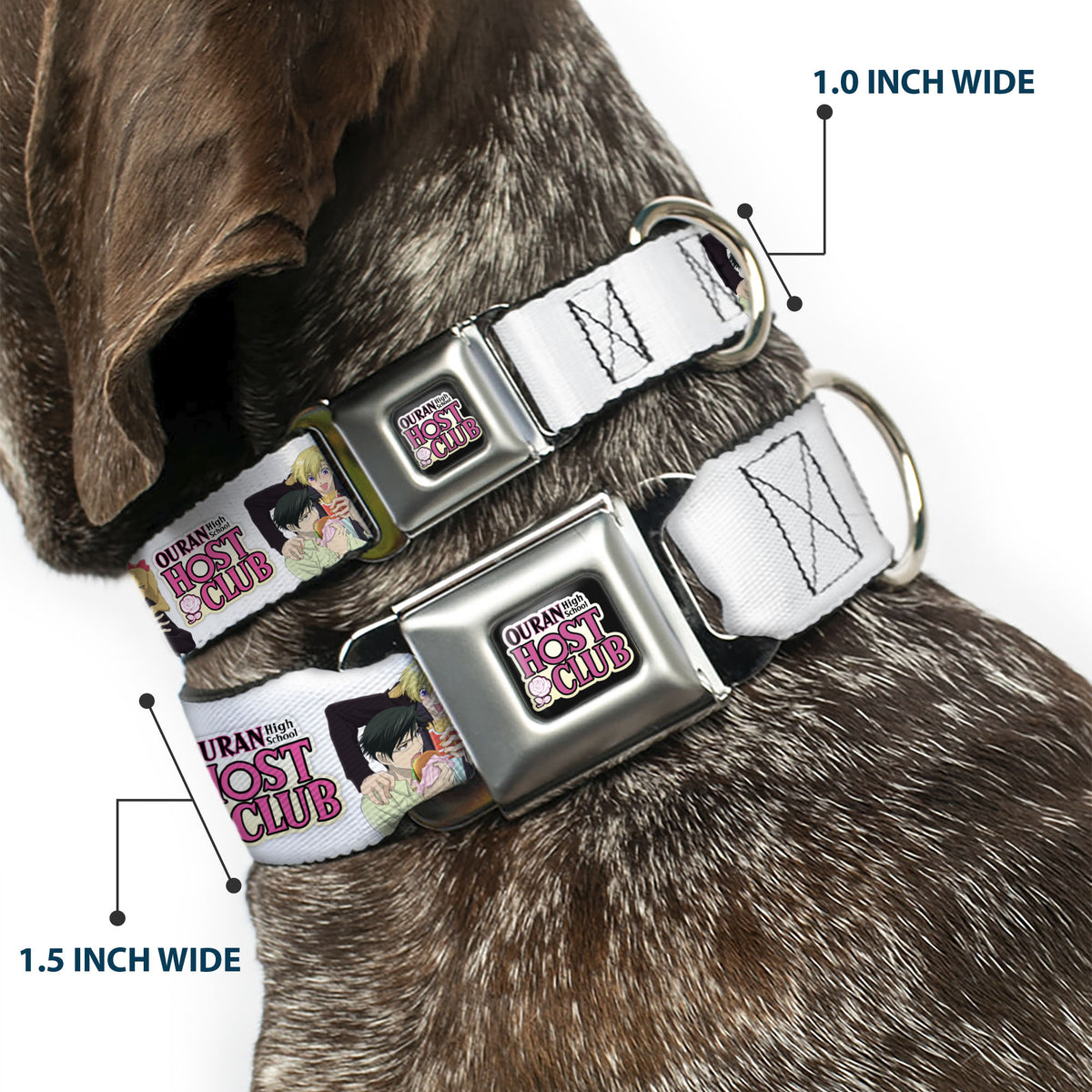 OURAN HIGH SCHOOL HOST CLUB Title Logo Full Color Black Seatbelt Buckle Collar - OURAN HIGH SCHOOL HOST CLUB Kyoya Haruhi and Antoinette Pose and Title Logo White Dog Collars Seatbelt Buckle Ouran High School Host Club