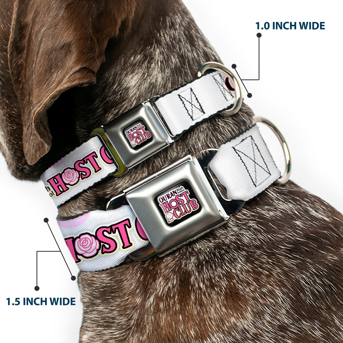OURAN HIGH SCHOOL HOST CLUB Title Logo Full Color Black Seatbelt Buckle Collar - OURAN HIGH SCHOOL Chibi Tamaki and Haruhi Pose and Title Logo White Dog Collars Seatbelt Buckle Ouran High School Host Club