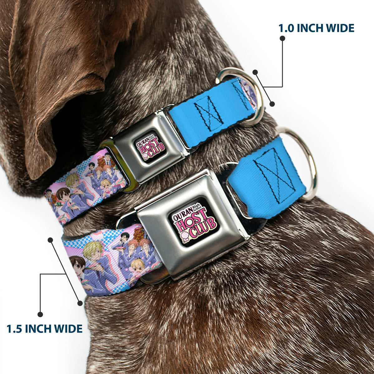 OURAN HIGH SCHOOL HOST CLUB Title Logo Full Color Black Seatbelt Buckle Collar - Ouran High School Host Club Seven Character Sushi Dining Pose Pink/Blue Dog Collars Seatbelt Buckle Ouran High School Host Club