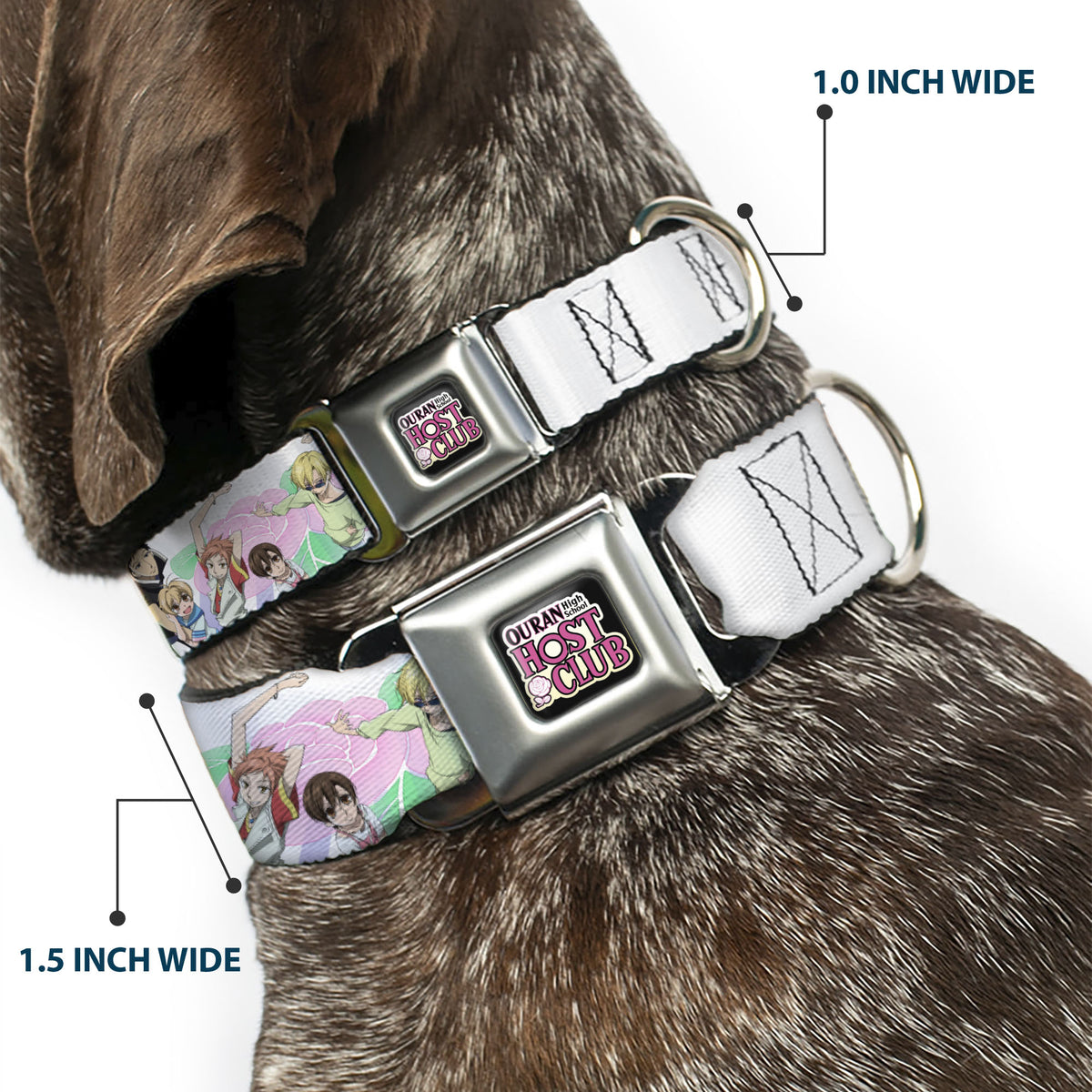 OURAN HIGH SCHOOL HOST CLUB Title Logo Full Color Black Seatbelt Buckle Collar - OURAN HIGH SCHOOL Seven Character Group Pose and Title Logo White Dog Collars Seatbelt Buckle Ouran High School Host Club