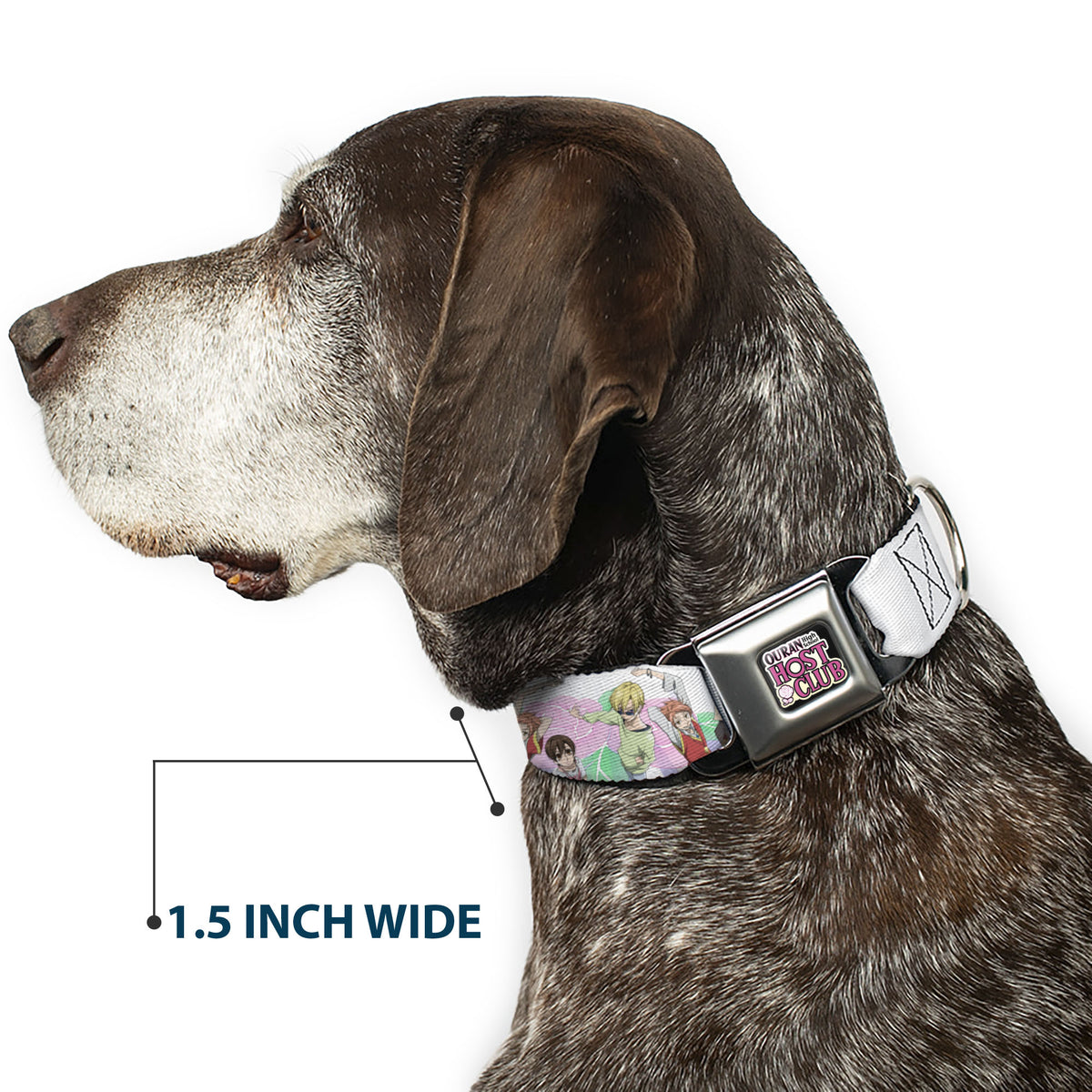 OURAN HIGH SCHOOL HOST CLUB Title Logo Full Color Black Seatbelt Buckle Collar - OURAN HIGH SCHOOL Seven Character Group Pose and Title Logo White Dog Collars Seatbelt Buckle Ouran High School Host Club