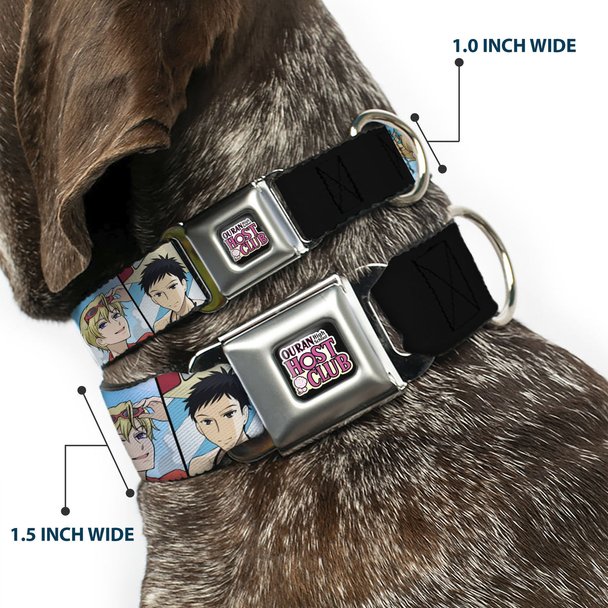 OURAN HIGH SCHOOL HOST CLUB Title Logo Full Color Black Seatbelt Buckle Collar - Ouran High School Host Club Seven Character Beach Day Pose Blocks Dog Collars Seatbelt Buckle Ouran High School Host Club