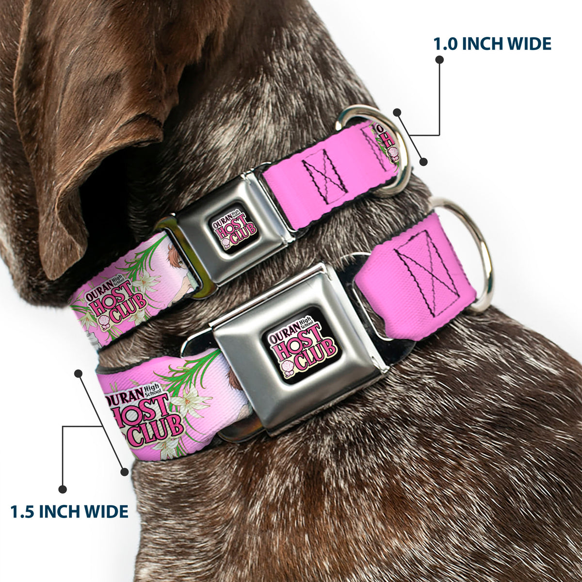 OURAN HIGH SCHOOL HOST CLUB Title Logo Full Color Black Seatbelt Buckle Collar - OURAN HIGH SCHOOL HOST CLUB Haruhi and Hitachiin Twins Lilies Pose and Title Logo Pinks Dog Collars Seatbelt Buckle Ouran High School Host Club