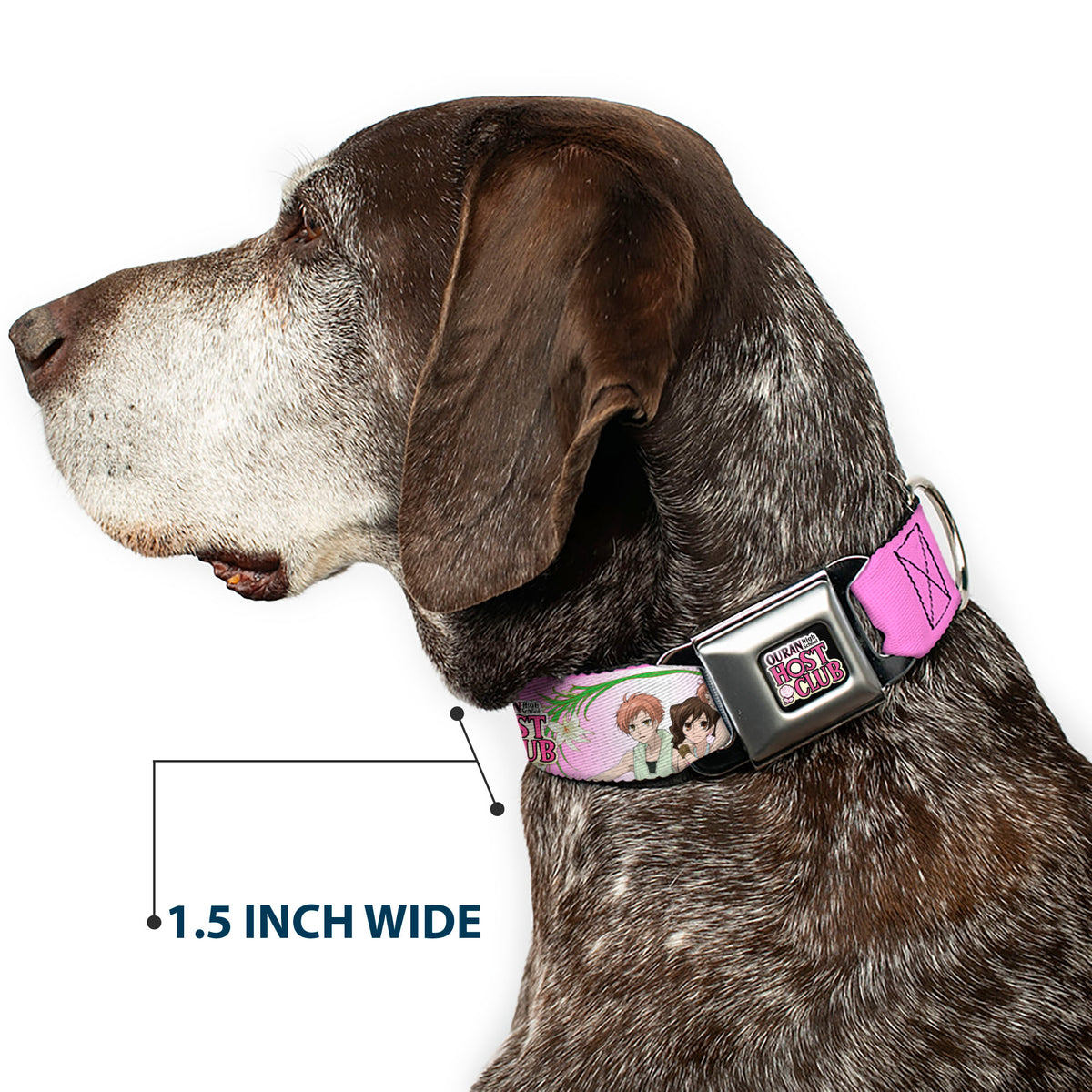 OURAN HIGH SCHOOL HOST CLUB Title Logo Full Color Black Seatbelt Buckle Collar - OURAN HIGH SCHOOL HOST CLUB Haruhi and Hitachiin Twins Lilies Pose and Title Logo Pinks Dog Collars Seatbelt Buckle Ouran High School Host Club