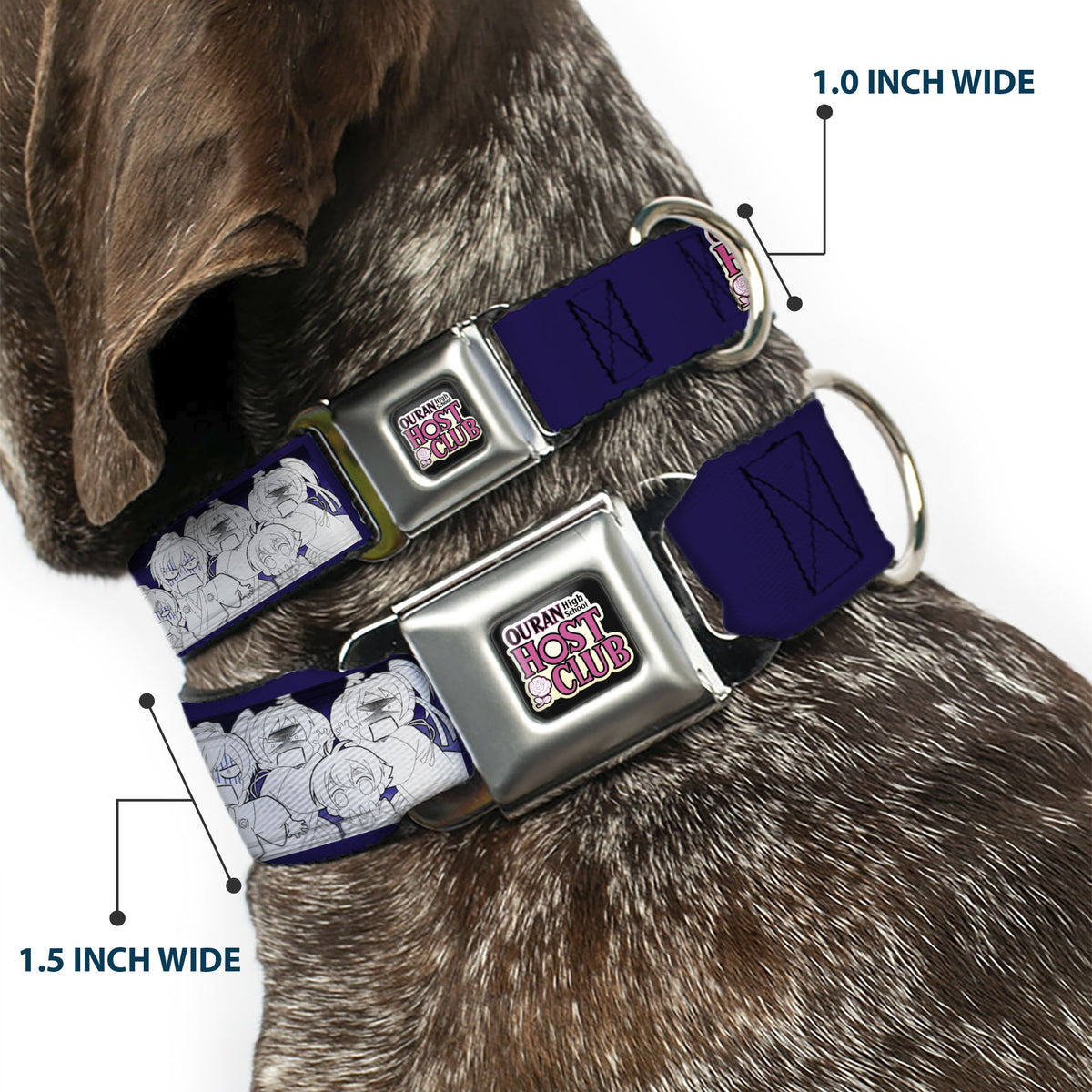OURAN HIGH SCHOOL HOST CLUB Title Logo Full Color Black Seatbelt Buckle Collar - OURAN HIGH SCHOOL HOST CLUB Character Doodle and Title Logo Violet Dog Collars Seatbelt Buckle Ouran High School Host Club