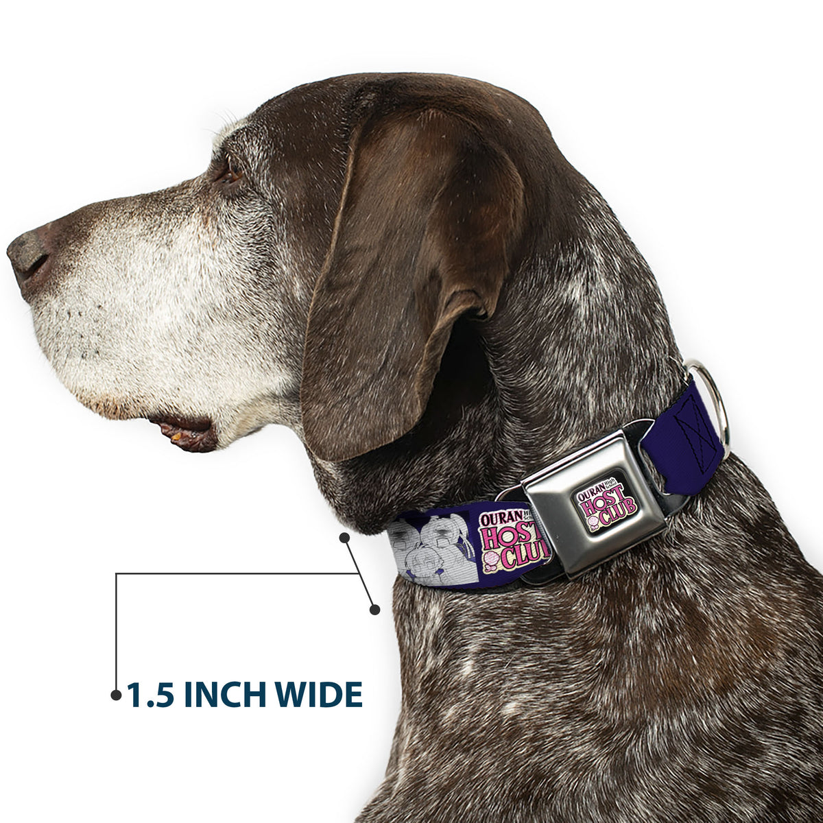 OURAN HIGH SCHOOL HOST CLUB Title Logo Full Color Black Seatbelt Buckle Collar - OURAN HIGH SCHOOL HOST CLUB Character Doodle and Title Logo Violet Dog Collars Seatbelt Buckle Ouran High School Host Club