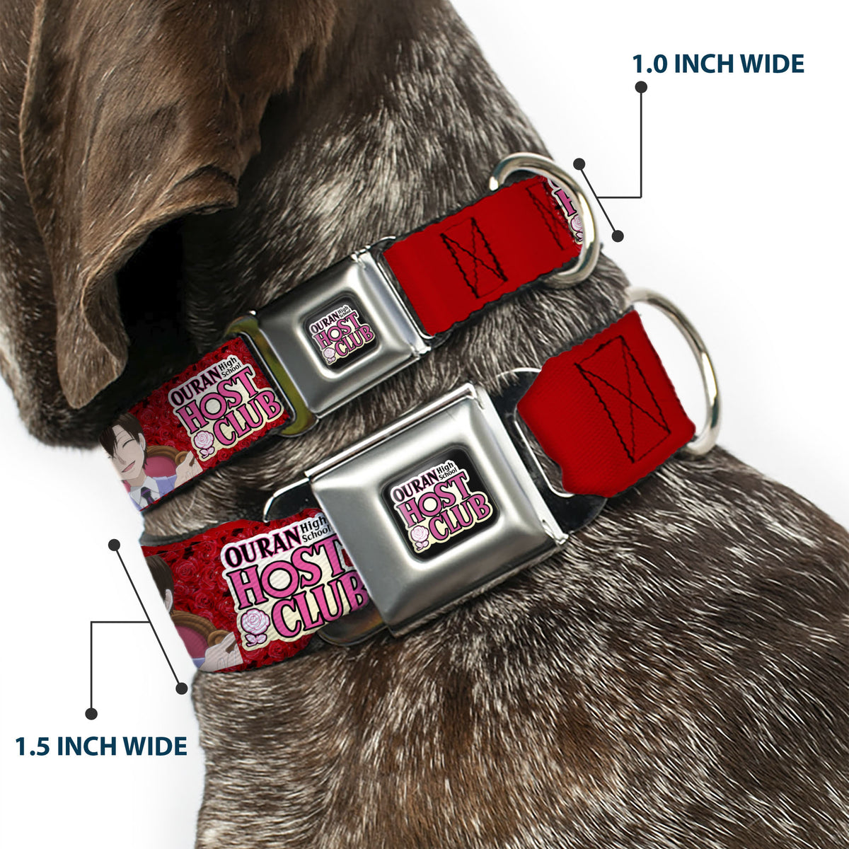 OURAN HIGH SCHOOL HOST CLUB Title Logo Full Color Black Seatbelt Buckle Collar - OURAN HIGH SCHOOL HOST CLUB Haruhi Smiling Pose with Roses and Title Logo Reds Dog Collars Seatbelt Buckle Ouran High School Host Club