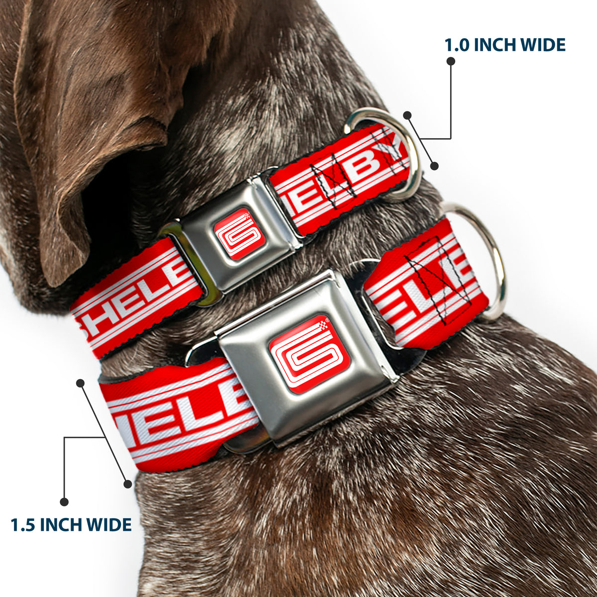 Carroll Shelby CS Racing Logo Full Color Red/White Seatbelt Buckle Collar - Carroll Shelby CS SHELBY Racing Logo Block Red/White Dog Collars Seatbelt Buckle Shelby