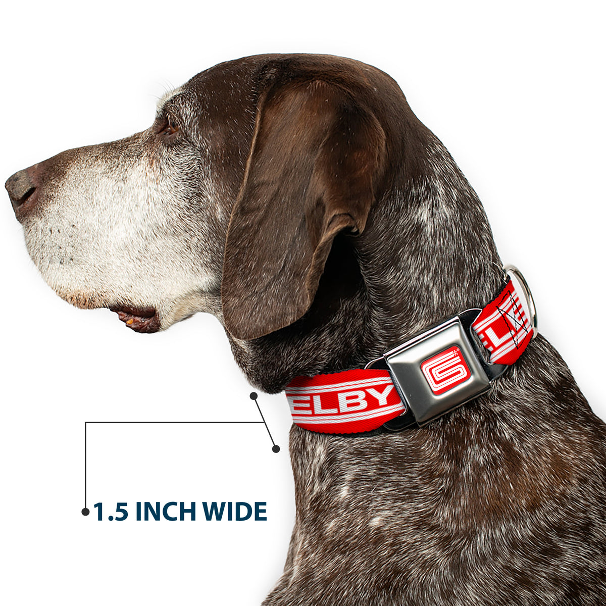 Carroll Shelby CS Racing Logo Full Color Red/White Seatbelt Buckle Collar - Carroll Shelby CS SHELBY Racing Logo Block Red/White Dog Collars Seatbelt Buckle Shelby