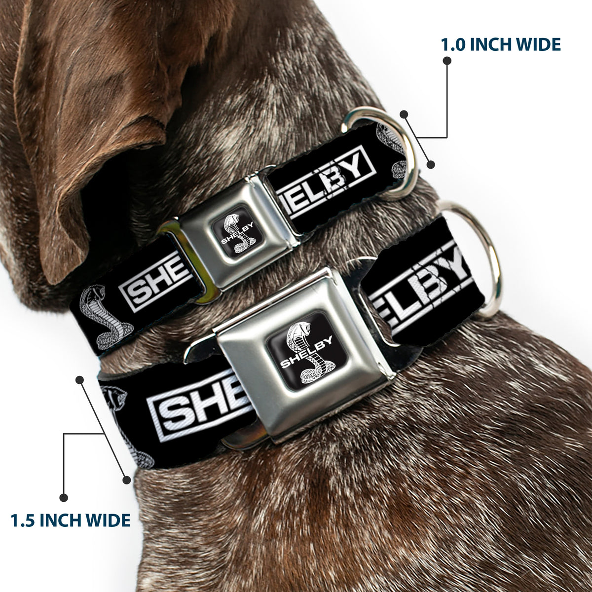 SHELBY Super Snake Cobra Split Full Color Black/White Seatbelt Buckle Collar - SHELBY Box Logo and Super Snake Cobra Black/White Dog Collars Seatbelt Buckle Shelby