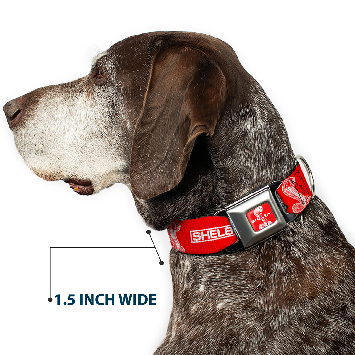 SHELBY Super Snake Cobra Split Full Color Red/White Seatbelt Buckle Collar - SHELBY Box Logo and Super Snake Cobra Red/White Dog Collars Seatbelt Buckle Shelby