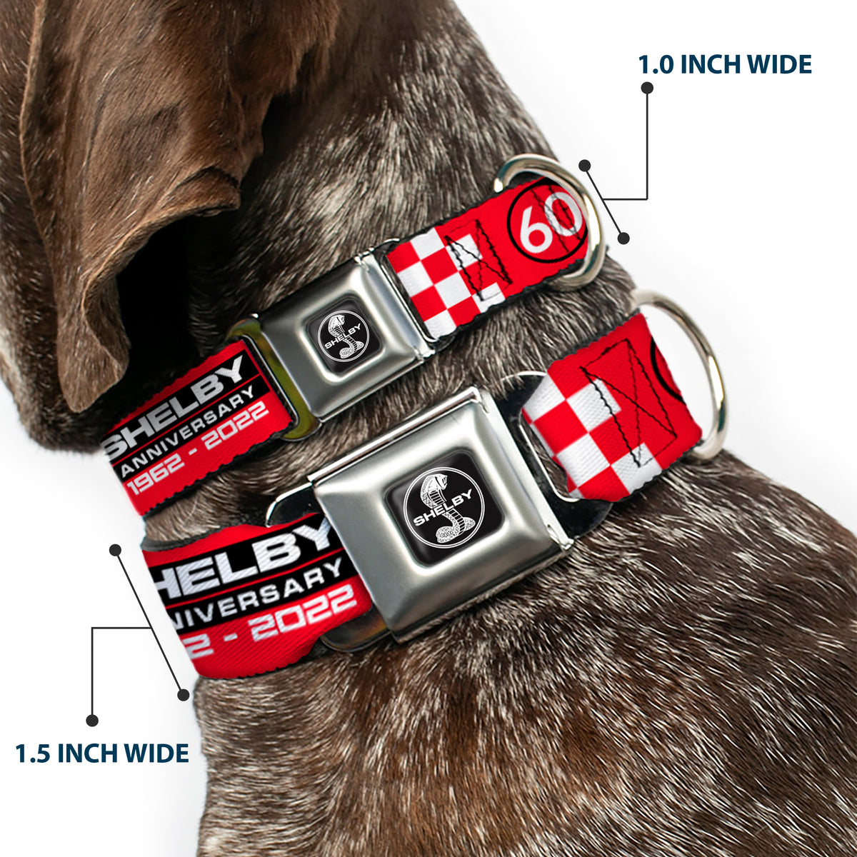 SHELBY Tiffany Split Full Color Black/White Seatbelt Buckle Collar - SHELBY 60th ANNIVERSARY Checker Red/Black/White Dog Collars Seatbelt Buckle Shelby