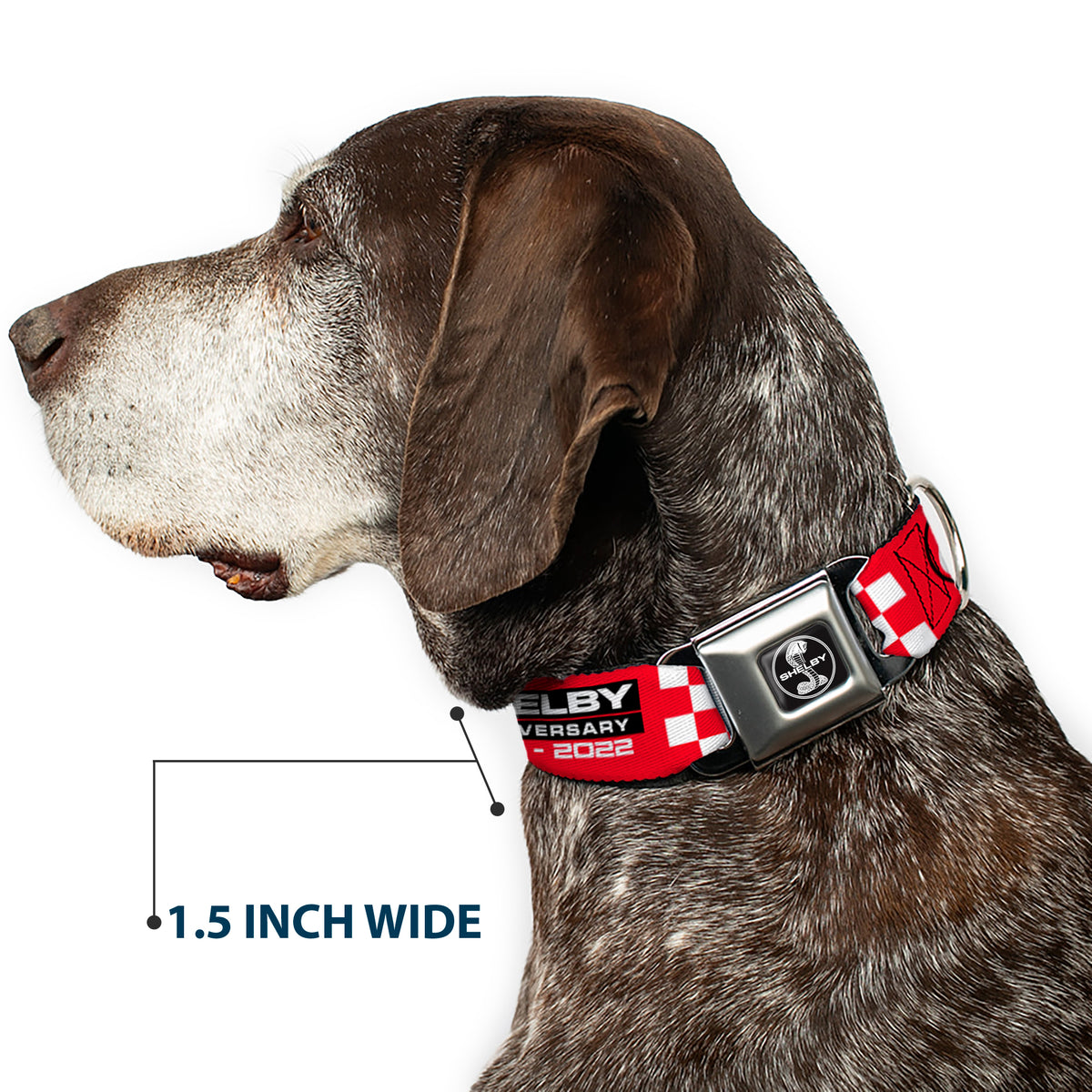 SHELBY Tiffany Split Full Color Black/White Seatbelt Buckle Collar - SHELBY 60th ANNIVERSARY Checker Red/Black/White Dog Collars Seatbelt Buckle Shelby