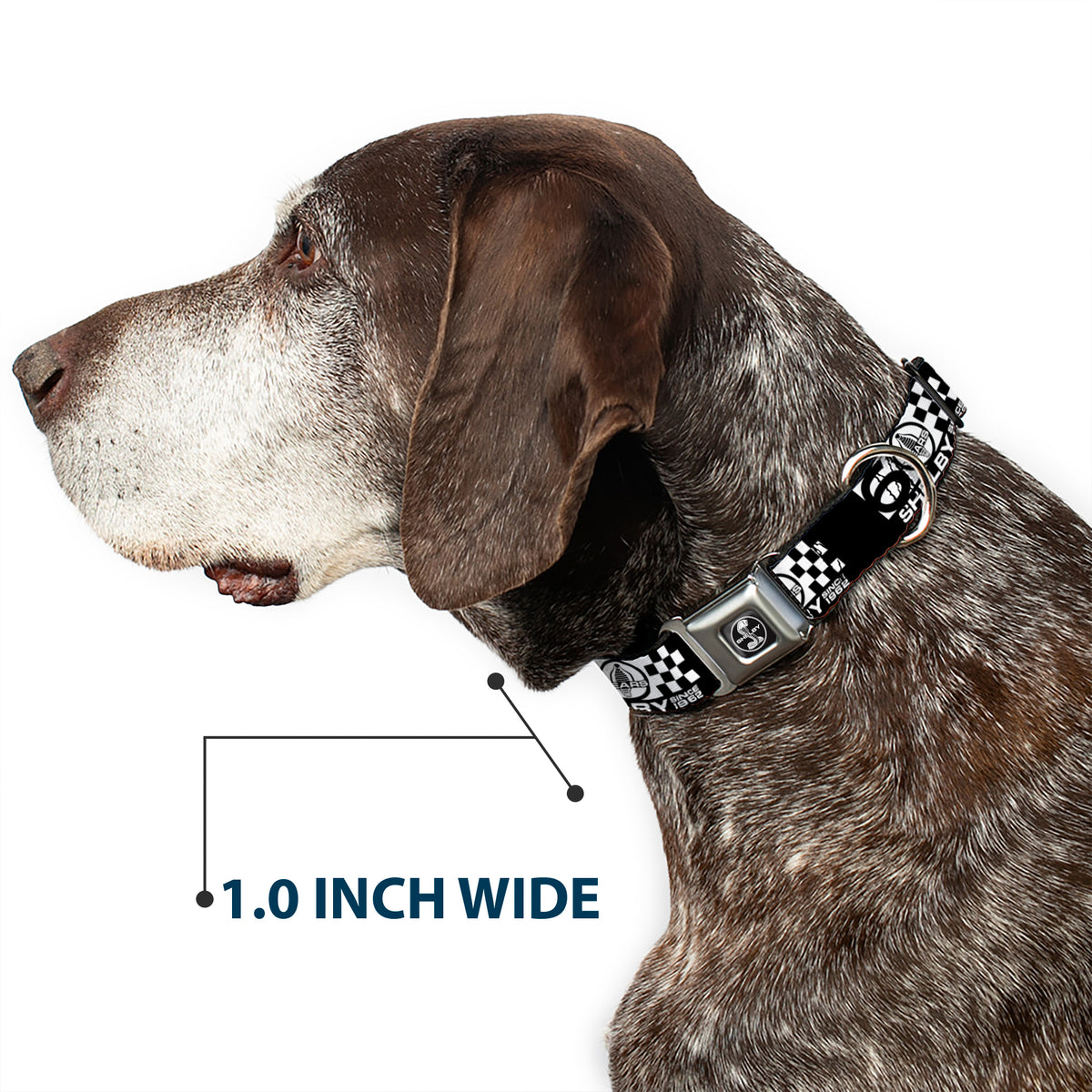 SHELBY Tiffany Split Full Color Black/White Seatbelt Buckle Collar - SHELBY 60 YEARS SINCE 1962 Checker Black/White Dog Collars Seatbelt Buckle Shelby