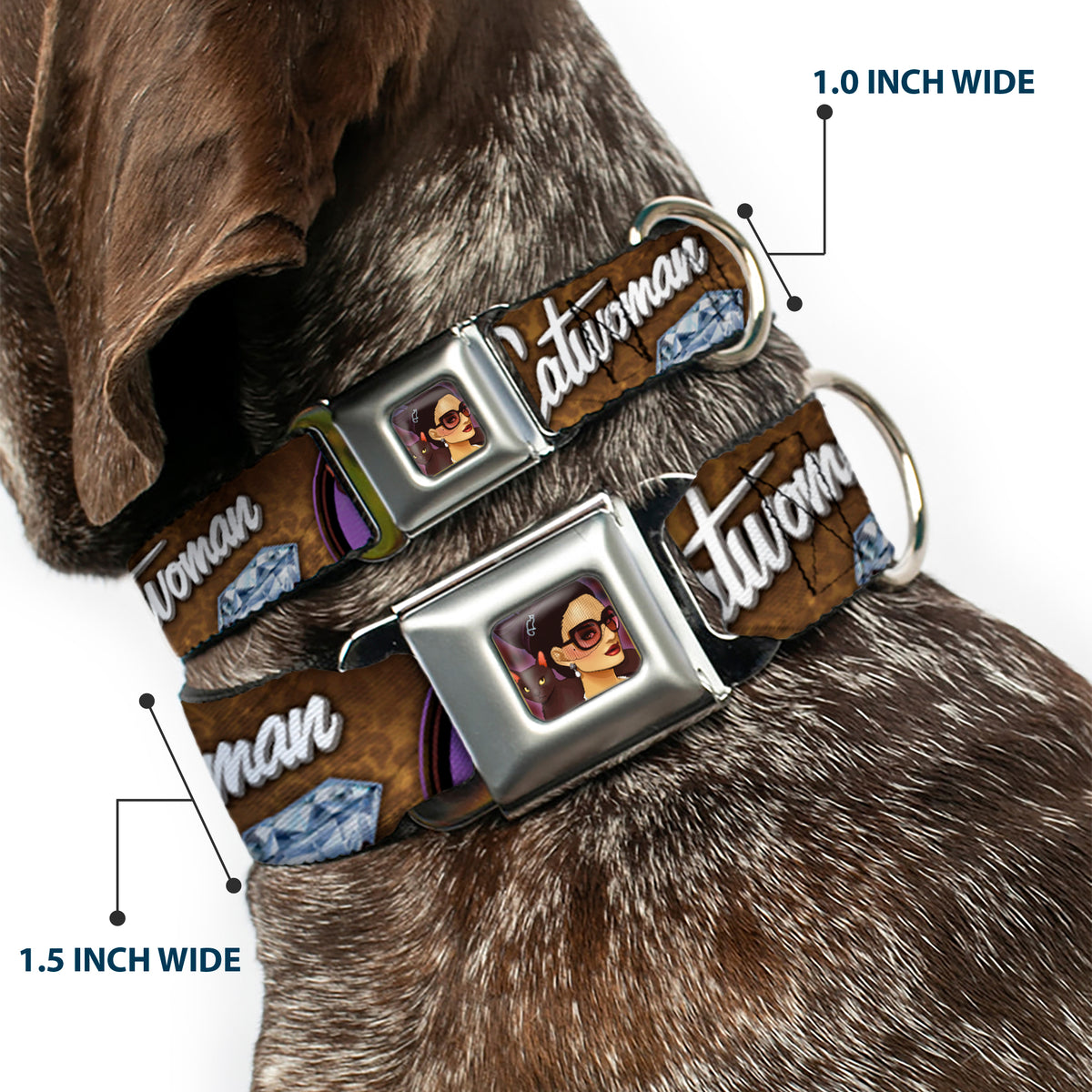 CATWOMAN Bombshell Face Full Color Purple Seatbelt Buckle Collar - CATWOMAN-NINE LIVES OF A FELINE FATALE Bombshell Pose/Diamonds Dog Collars Seatbelt Buckle DC Comics