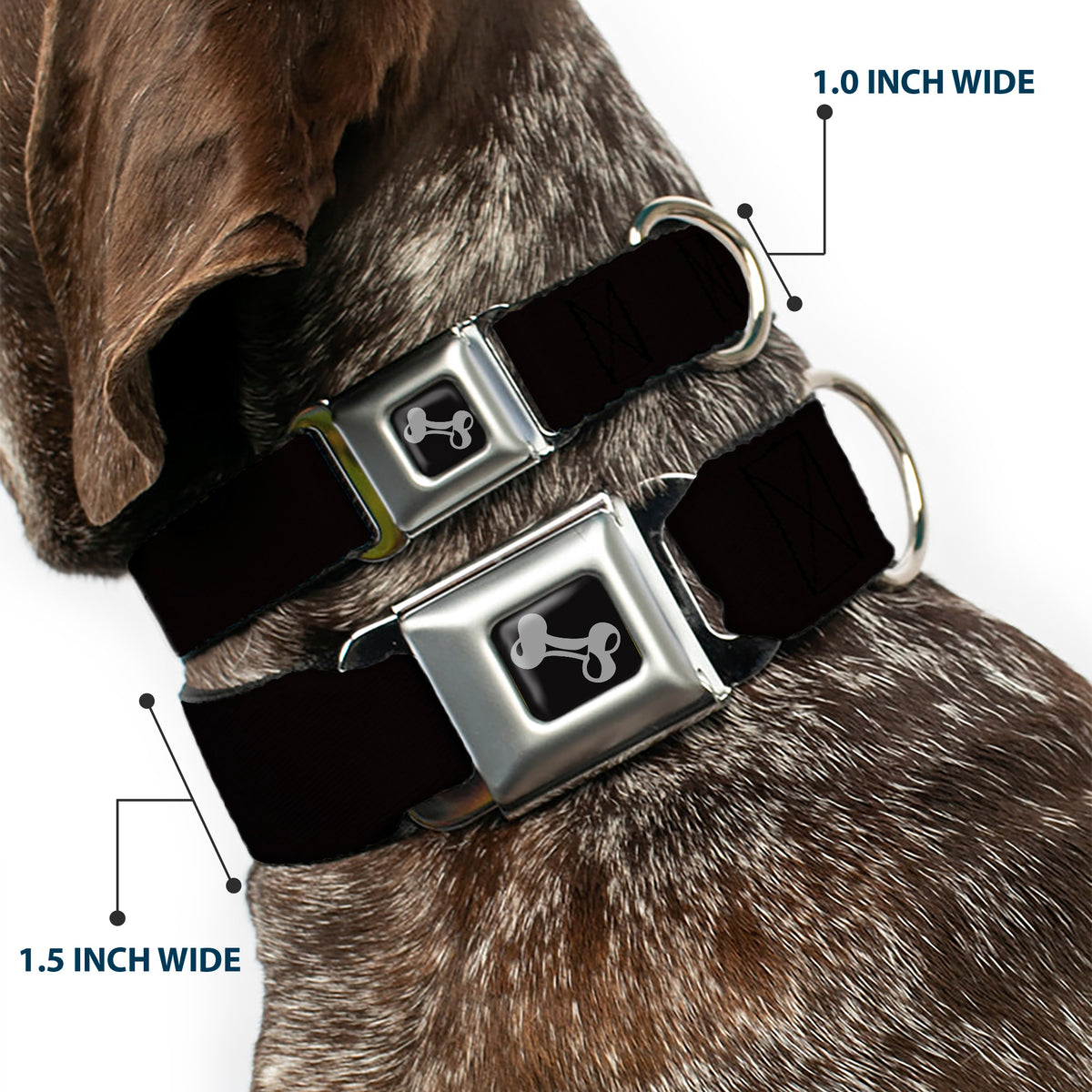 Dog Bone Seatbelt Buckle Collar - Black Dog Collars Seatbelt Buckle Buckle-Down