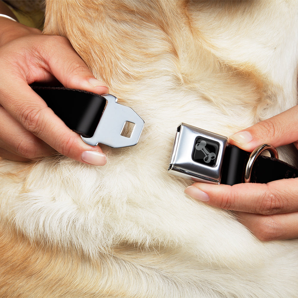 Dog Bone Seatbelt Buckle Collar - Black Dog Collars Seatbelt Buckle Buckle-Down