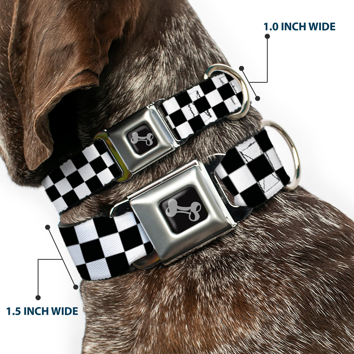 Black and White Checkered Dog Bone Seatbelt Buckle Collar Dog Collars Seatbelt Buckle Buckle-Down