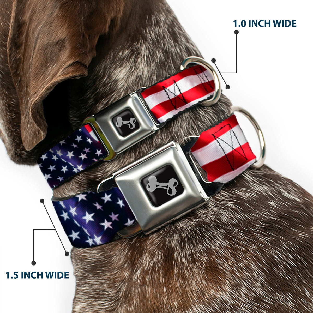Dog Bone Seatbelt Buckle Collar - American Flag Vivid CLOSE-UP Dog Collars Seatbelt Buckle Buckle-Down
