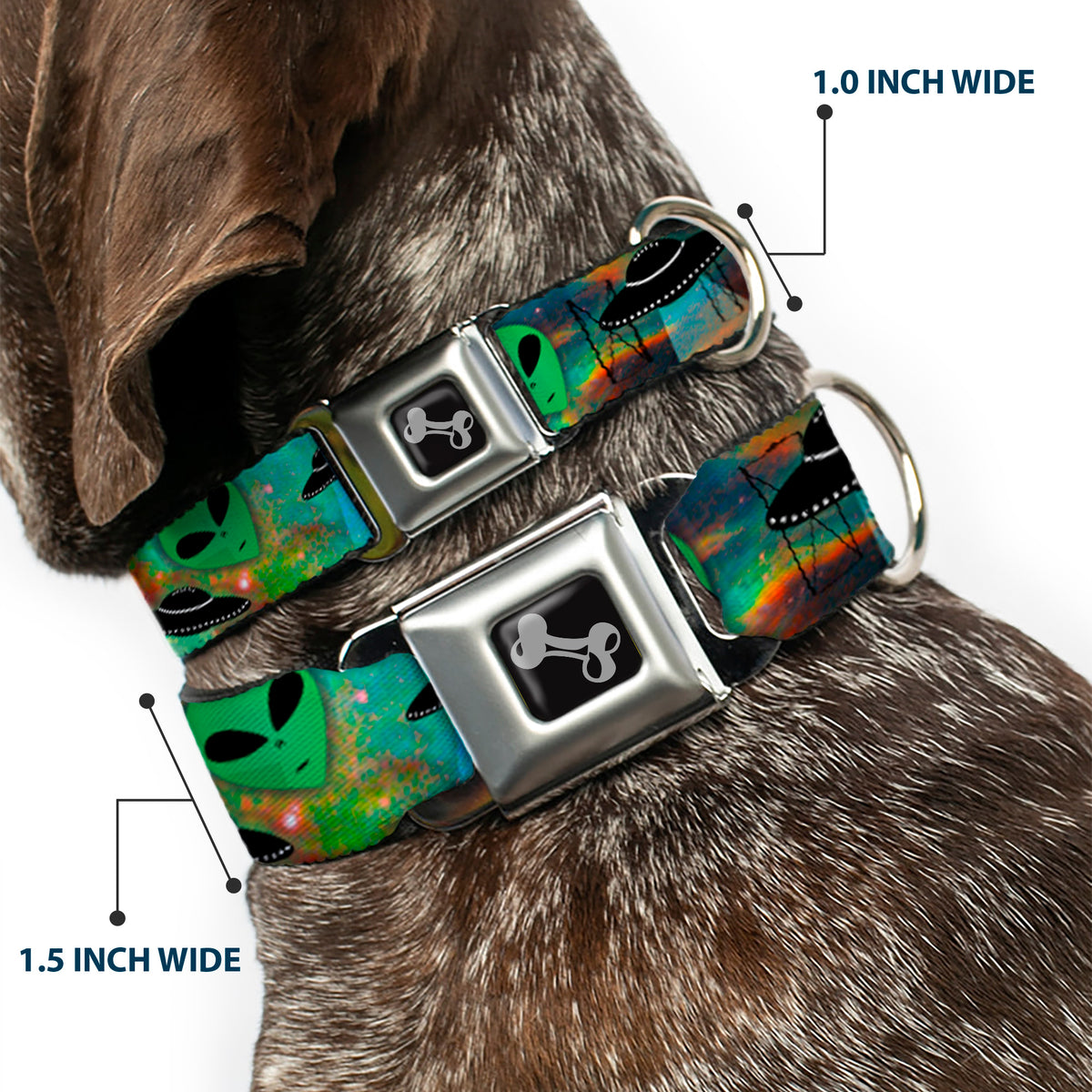 Dog Bone Seatbelt Buckle Collar - Aliens & UFO's Galaxy/Green/Black/White Dog Collars Seatbelt Buckle Buckle-Down
