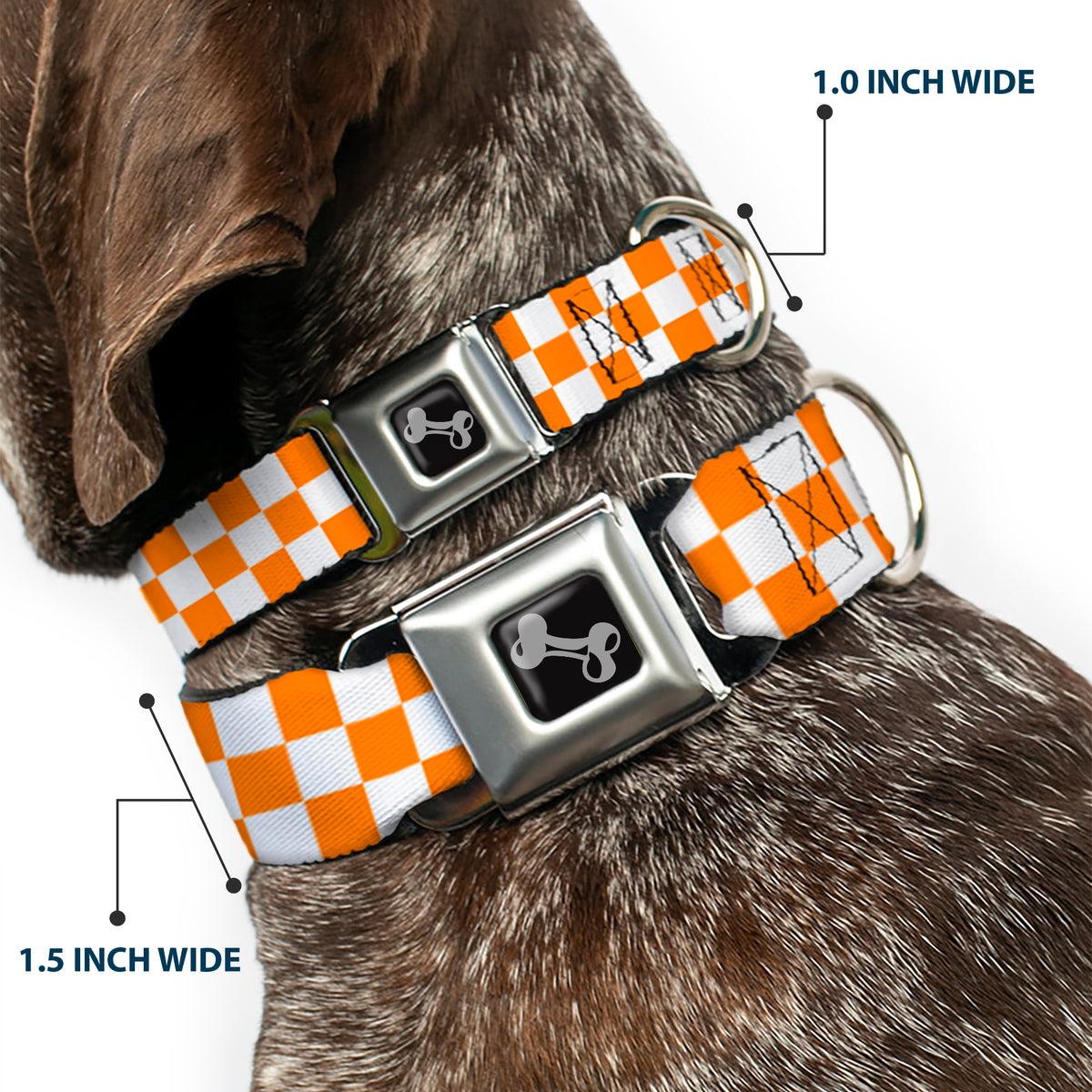 Dog Bone Seatbelt Buckle Collar - Checker White/TN Orange Dog Collars Seatbelt Buckle Buckle-Down