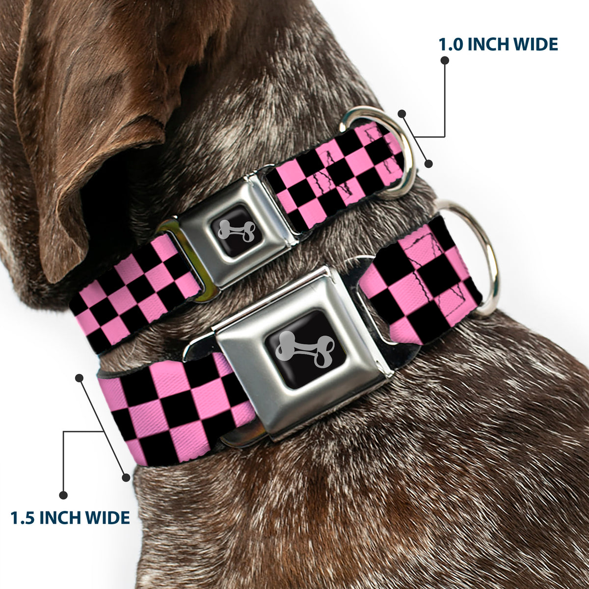 Dog Bone Seatbelt Buckle Collar - Checker Black/Baby Pink Dog Collars Seatbelt Buckle Buckle-Down