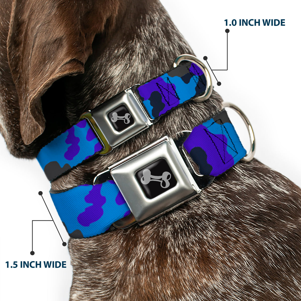Dog Bone Seatbelt Buckle Collar - Camo Blue Dog Collars Seatbelt Buckle Buckle-Down