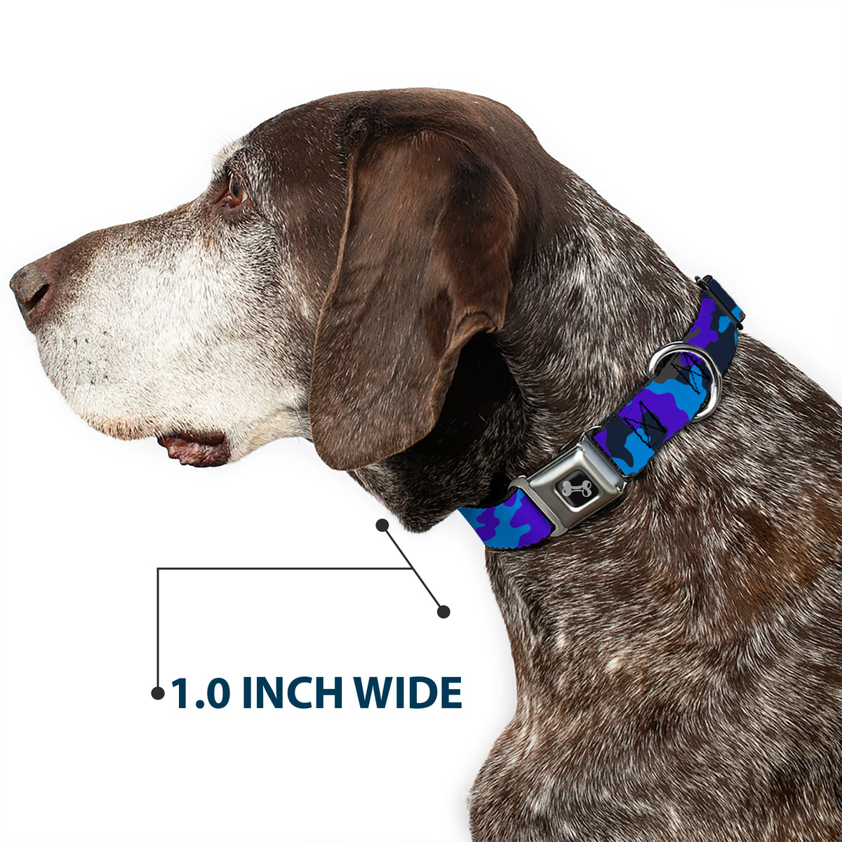 Dog Bone Seatbelt Buckle Collar - Camo Blue Dog Collars Seatbelt Buckle Buckle-Down