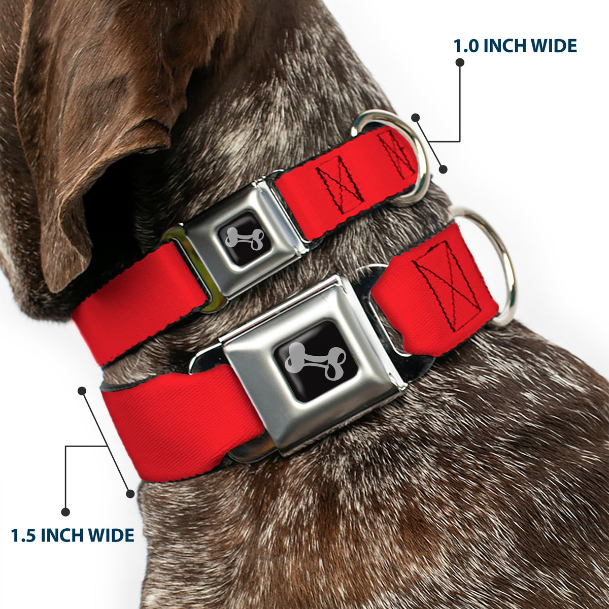 Dog Bone Seatbelt Buckle Collar - Christmas Red Dog Collars Seatbelt Buckle Buckle-Down