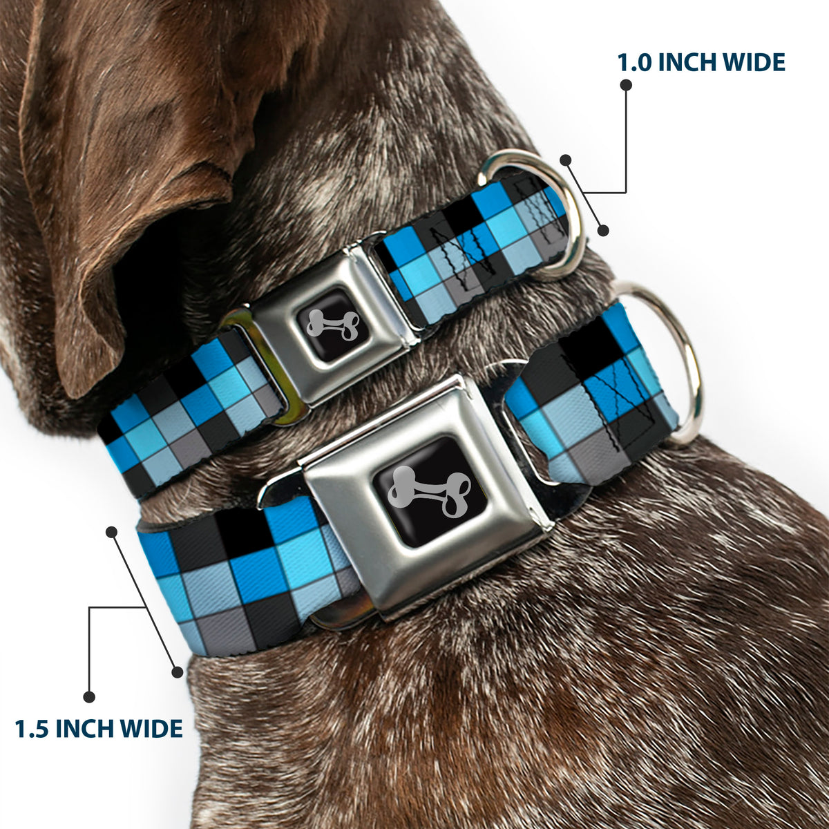 Dog Bone Seatbelt Buckle Collar - Checker Mosaic Blue Dog Collars Seatbelt Buckle Buckle-Down