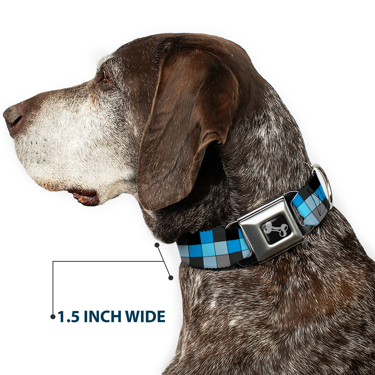 Dog Bone Seatbelt Buckle Collar - Checker Mosaic Blue Dog Collars Seatbelt Buckle Buckle-Down