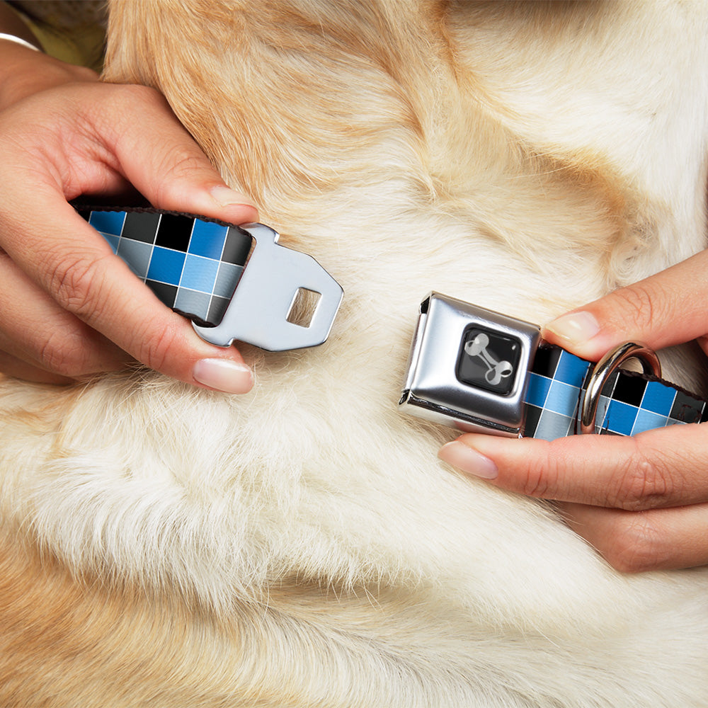 Dog Bone Seatbelt Buckle Collar - Checker Mosaic Blue Dog Collars Seatbelt Buckle Buckle-Down
