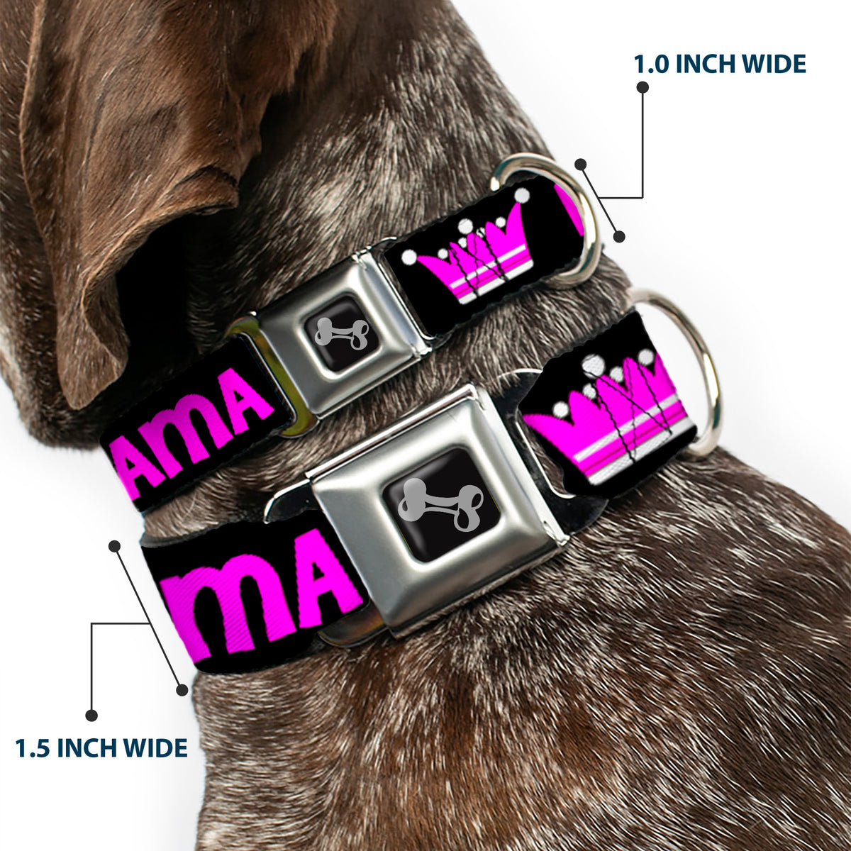 Dog Bone Seatbelt Buckle Collar - DRAMA QUEEN Black/Fuchsia Dog Collars Seatbelt Buckle Buckle-Down