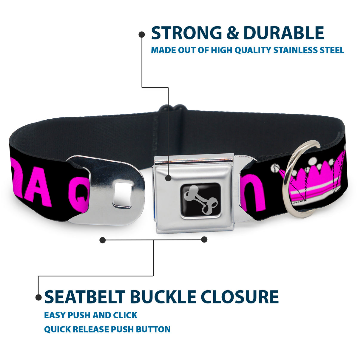 Dog Bone Seatbelt Buckle Collar - DRAMA QUEEN Black/Fuchsia Dog Collars Seatbelt Buckle Buckle-Down