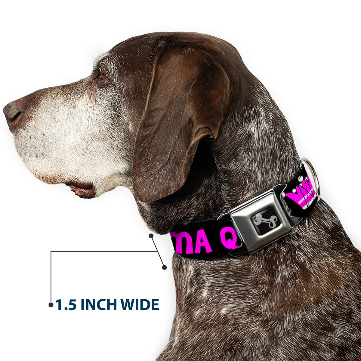 Dog Bone Seatbelt Buckle Collar - DRAMA QUEEN Black/Fuchsia Dog Collars Seatbelt Buckle Buckle-Down