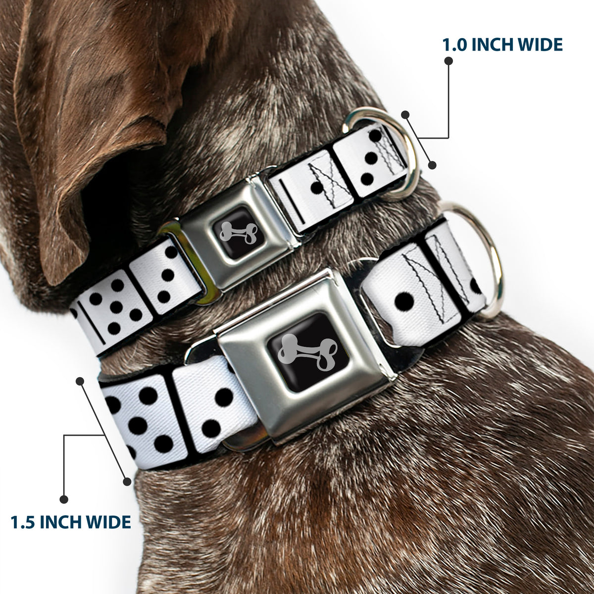 Dog Bone Seatbelt Buckle Collar - Dominoes Black/White/Black Dog Collars Seatbelt Buckle Buckle-Down