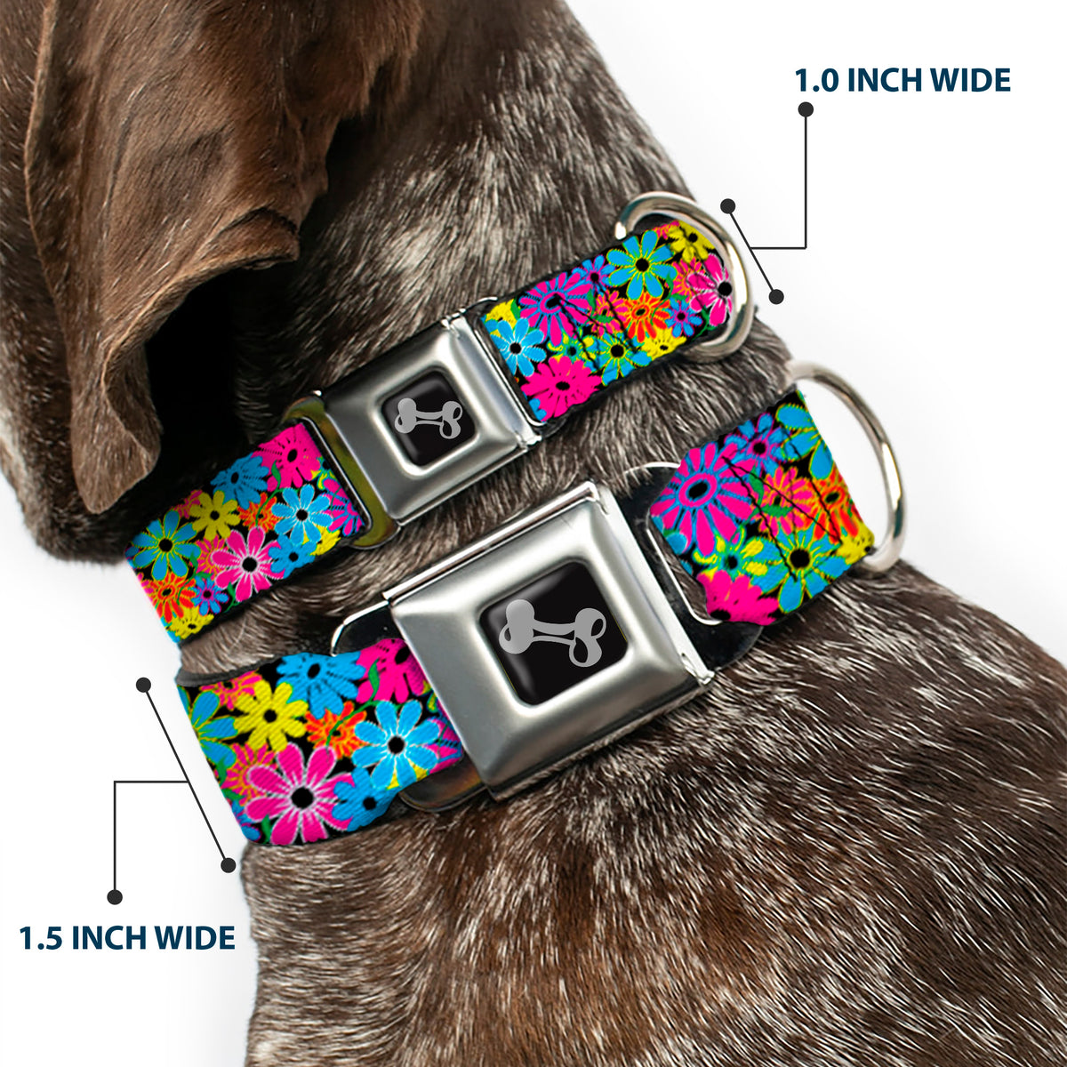 Dog Bone Seatbelt Buckle Collar - Flower Blossom Dog Collars Seatbelt Buckle Buckle-Down