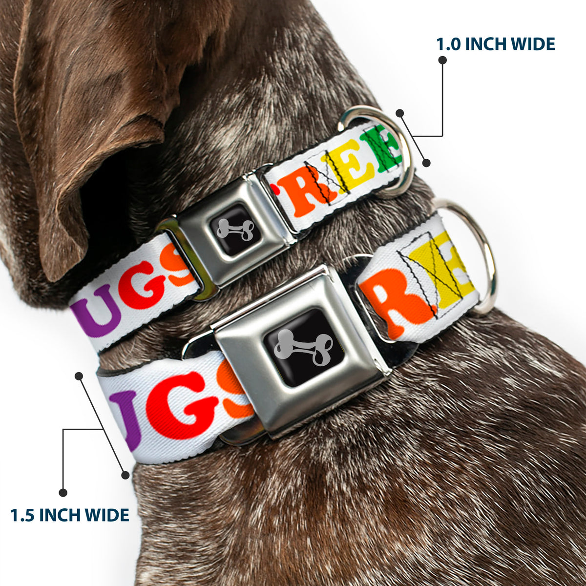 Dog Bone Seatbelt Buckle Collar - FREE HUGS White/Multi Color Dog Collars Seatbelt Buckle Buckle-Down
