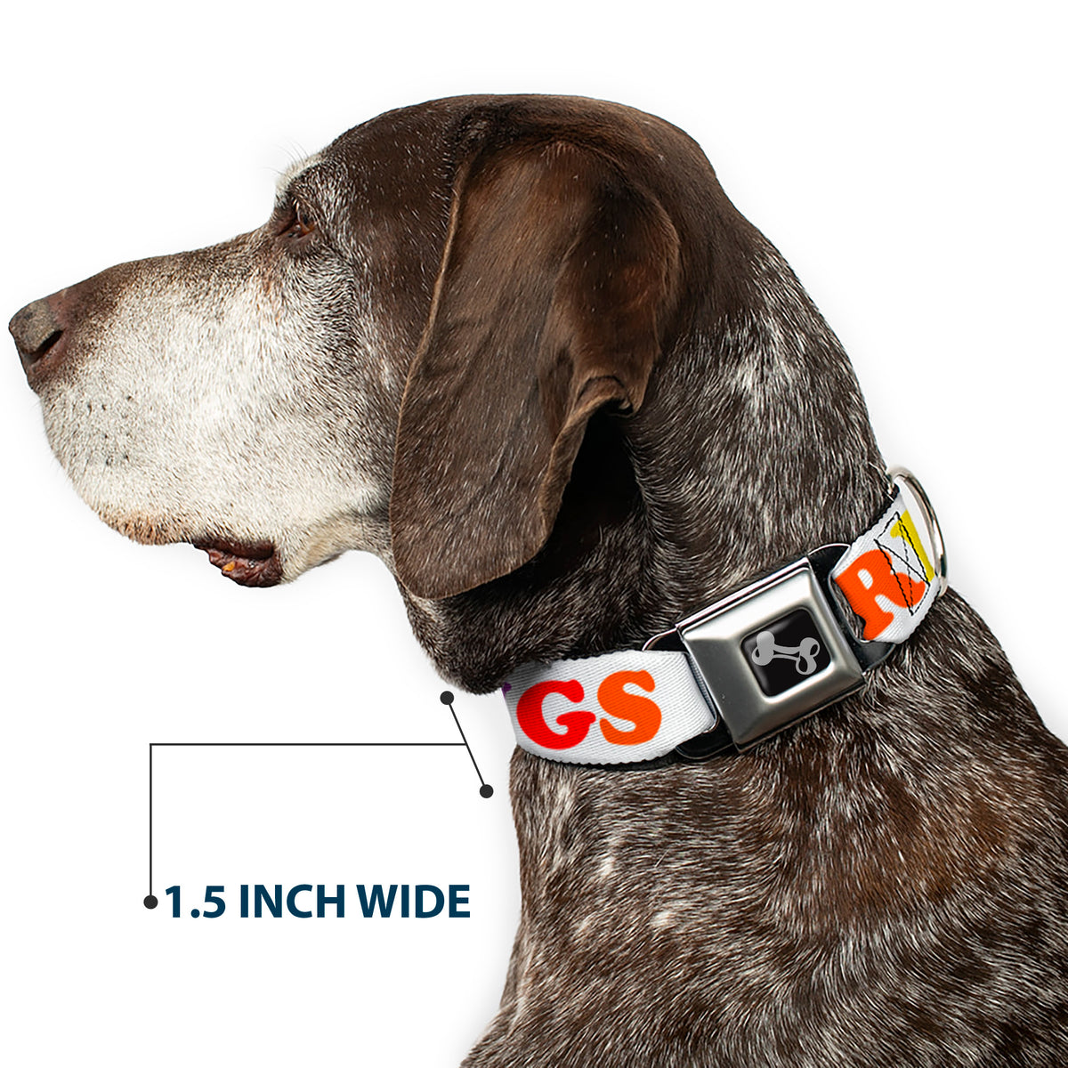 Dog Bone Seatbelt Buckle Collar - FREE HUGS White/Multi Color Dog Collars Seatbelt Buckle Buckle-Down