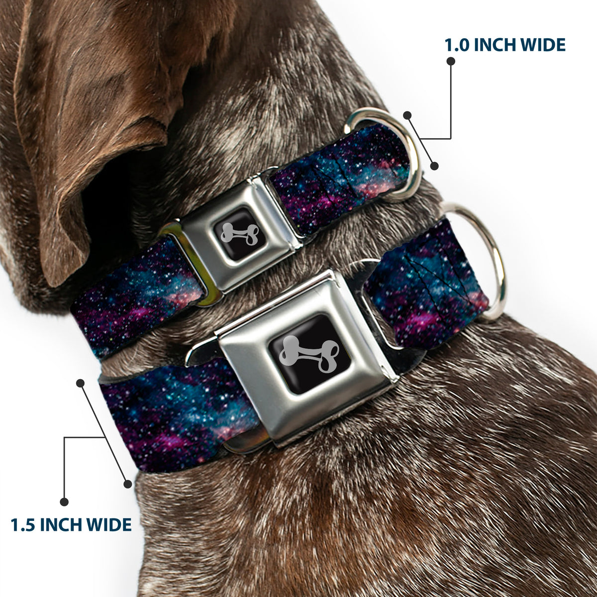 Dog Bone Seatbelt Buckle Collar - Galaxy Collage Dog Collars Seatbelt Buckle Buckle-Down