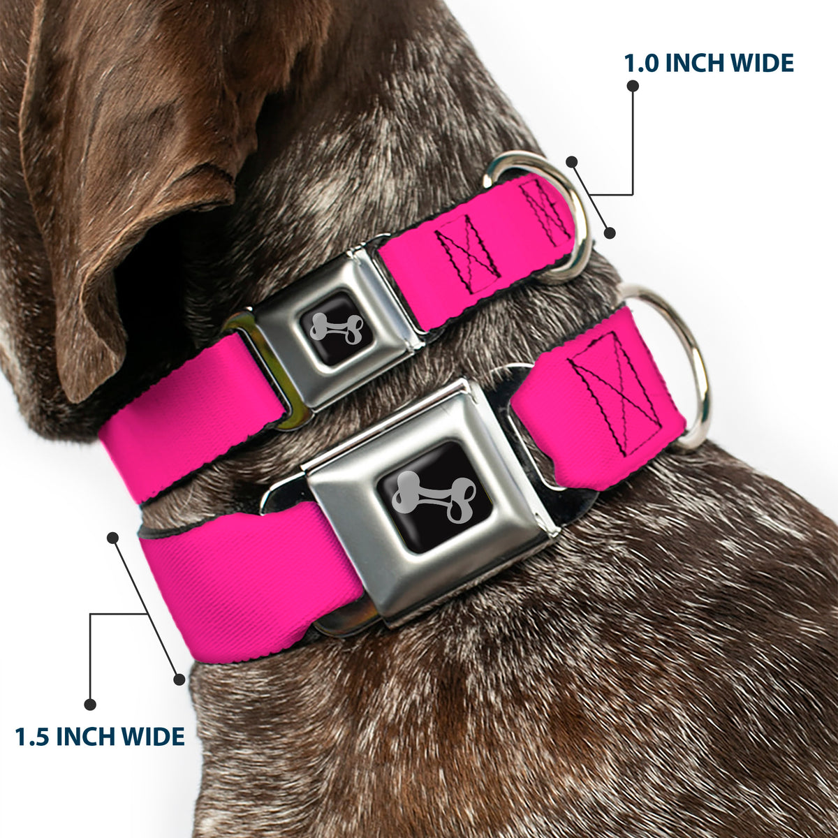 Dog Bone Seatbelt Buckle Collar - Hot Pink Dog Collars Seatbelt Buckle Buckle-Down