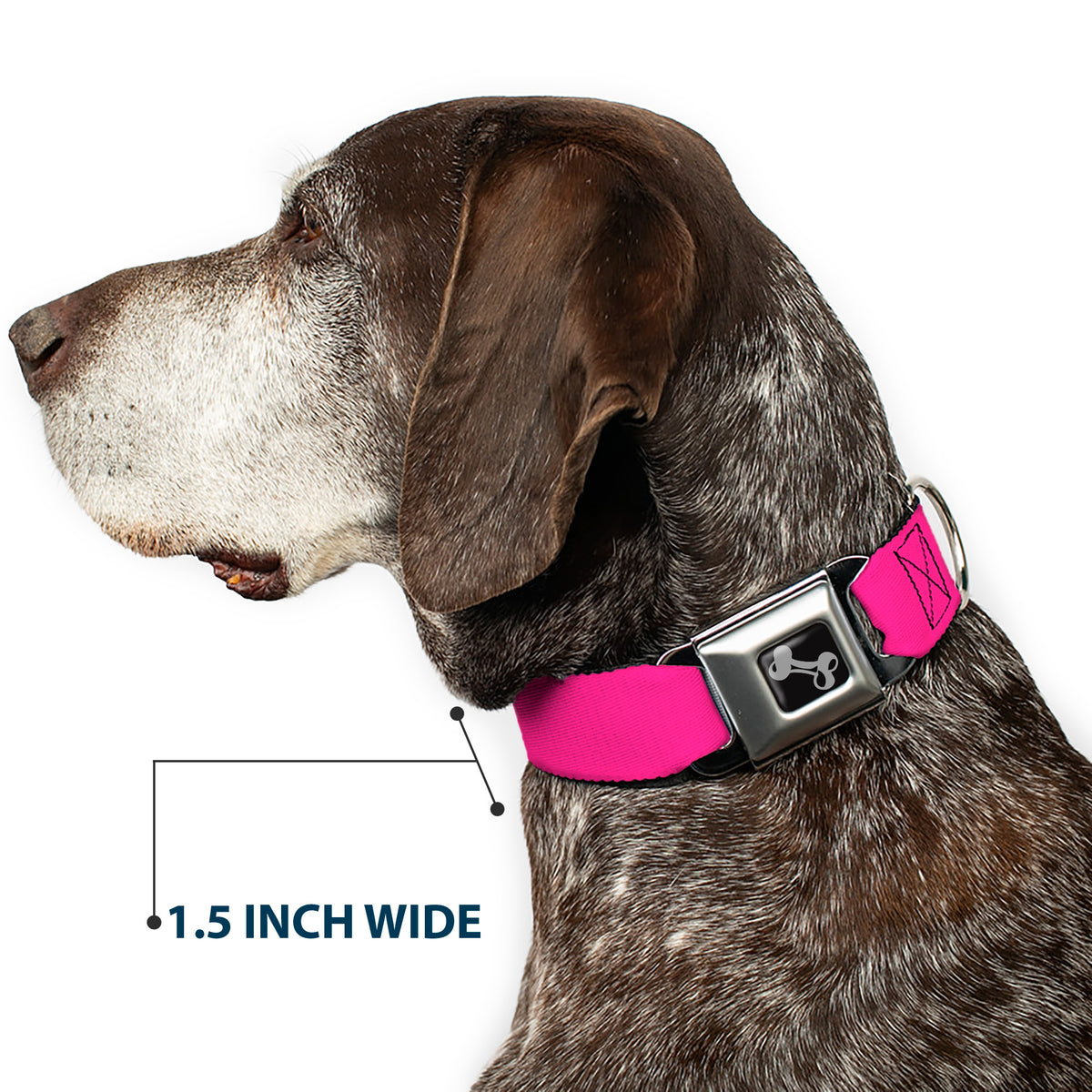 Dog Bone Seatbelt Buckle Collar - Hot Pink Dog Collars Seatbelt Buckle Buckle-Down