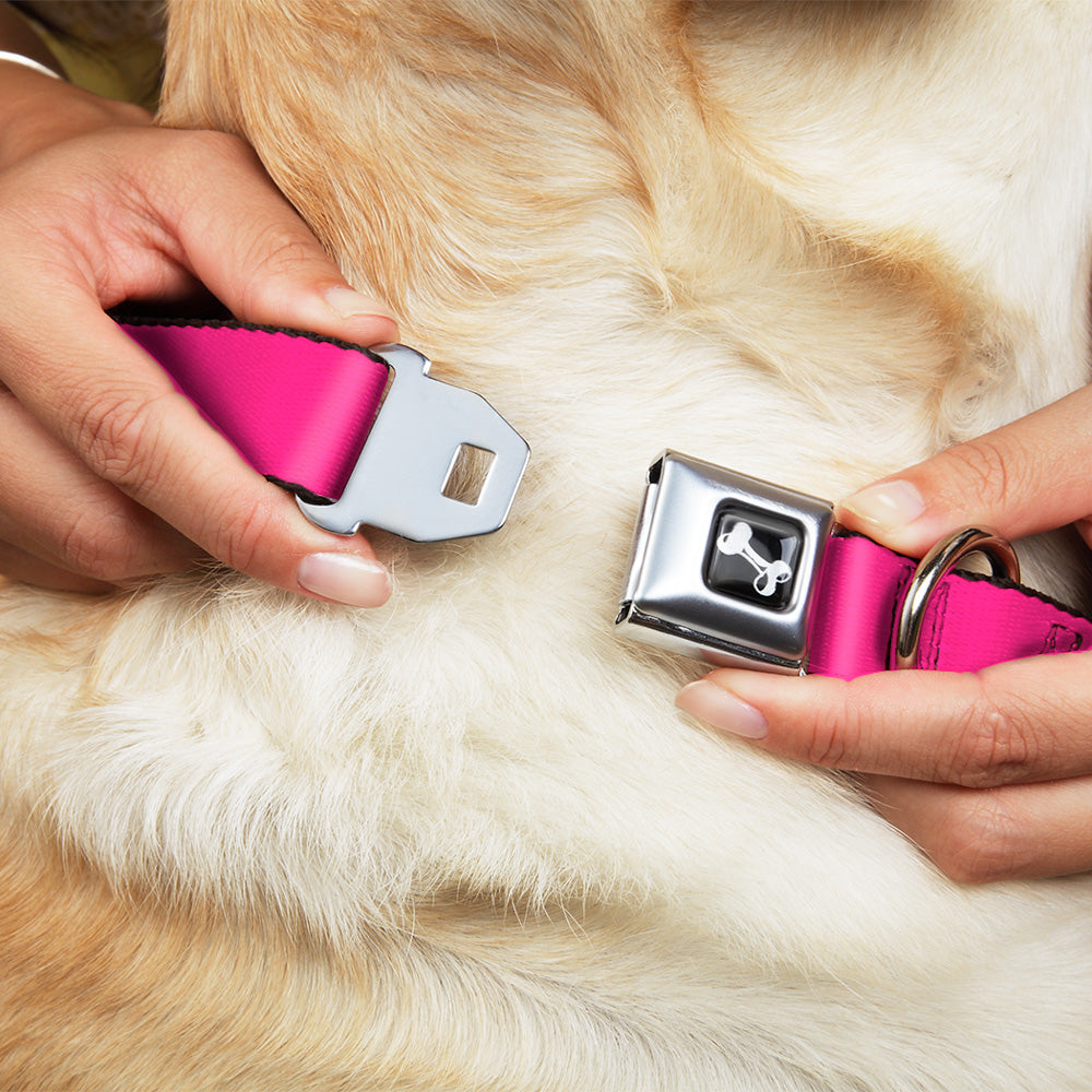 Dog Bone Seatbelt Buckle Collar - Hot Pink Dog Collars Seatbelt Buckle Buckle-Down
