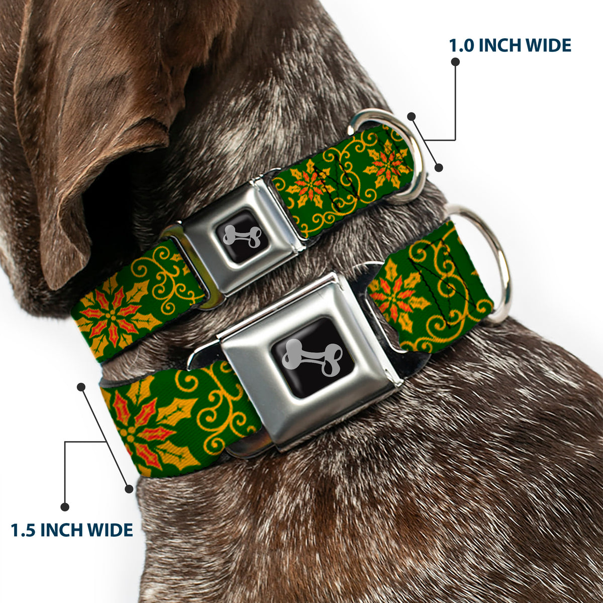 Dog Bone Seatbelt Buckle Collar - Holiday Holly Green/Gold/Red Dog Collars Seatbelt Buckle Buckle-Down