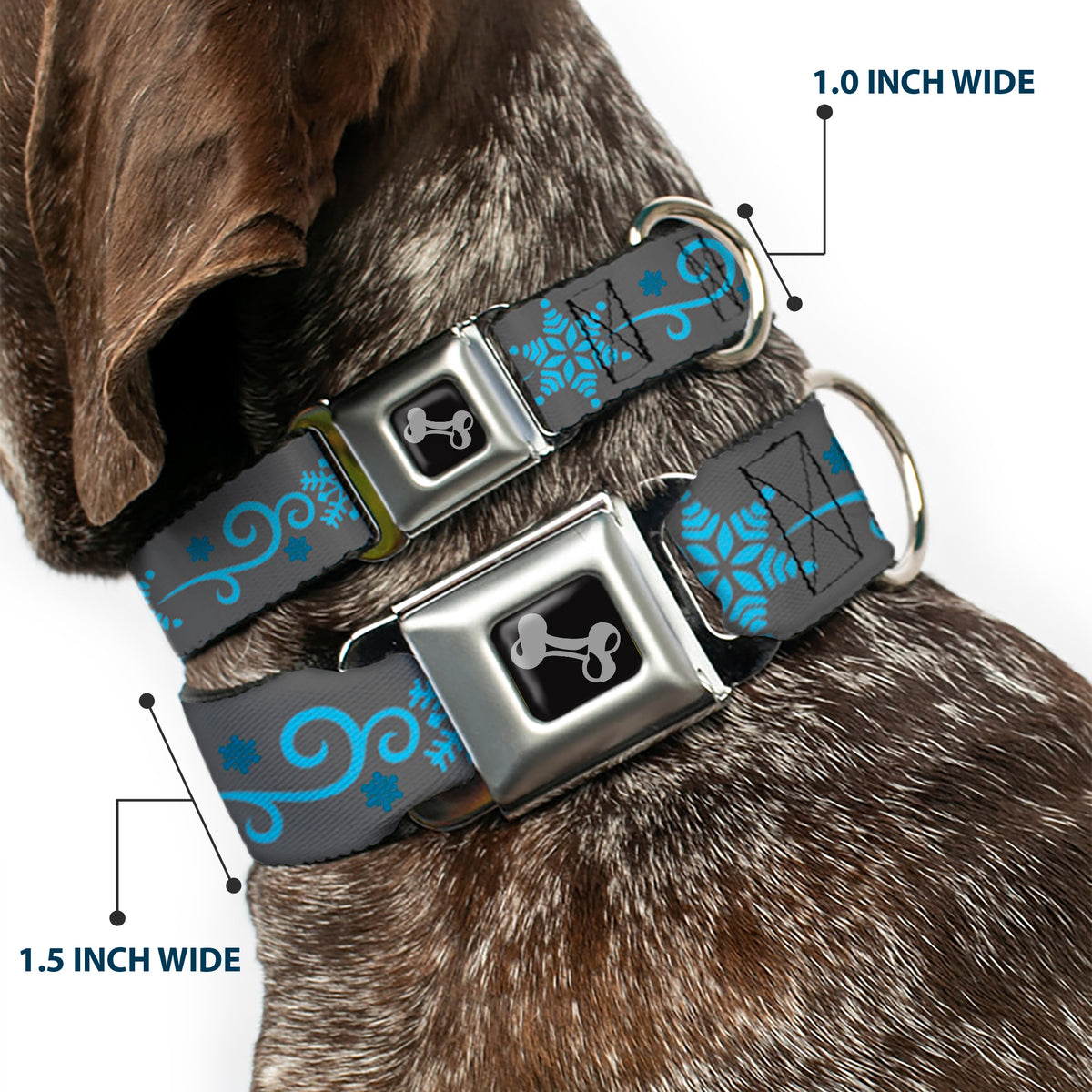 Dog Bone Seatbelt Buckle Collar - Holiday Snowflakes Gray/Blue Dog Collars Seatbelt Buckle Buckle-Down
