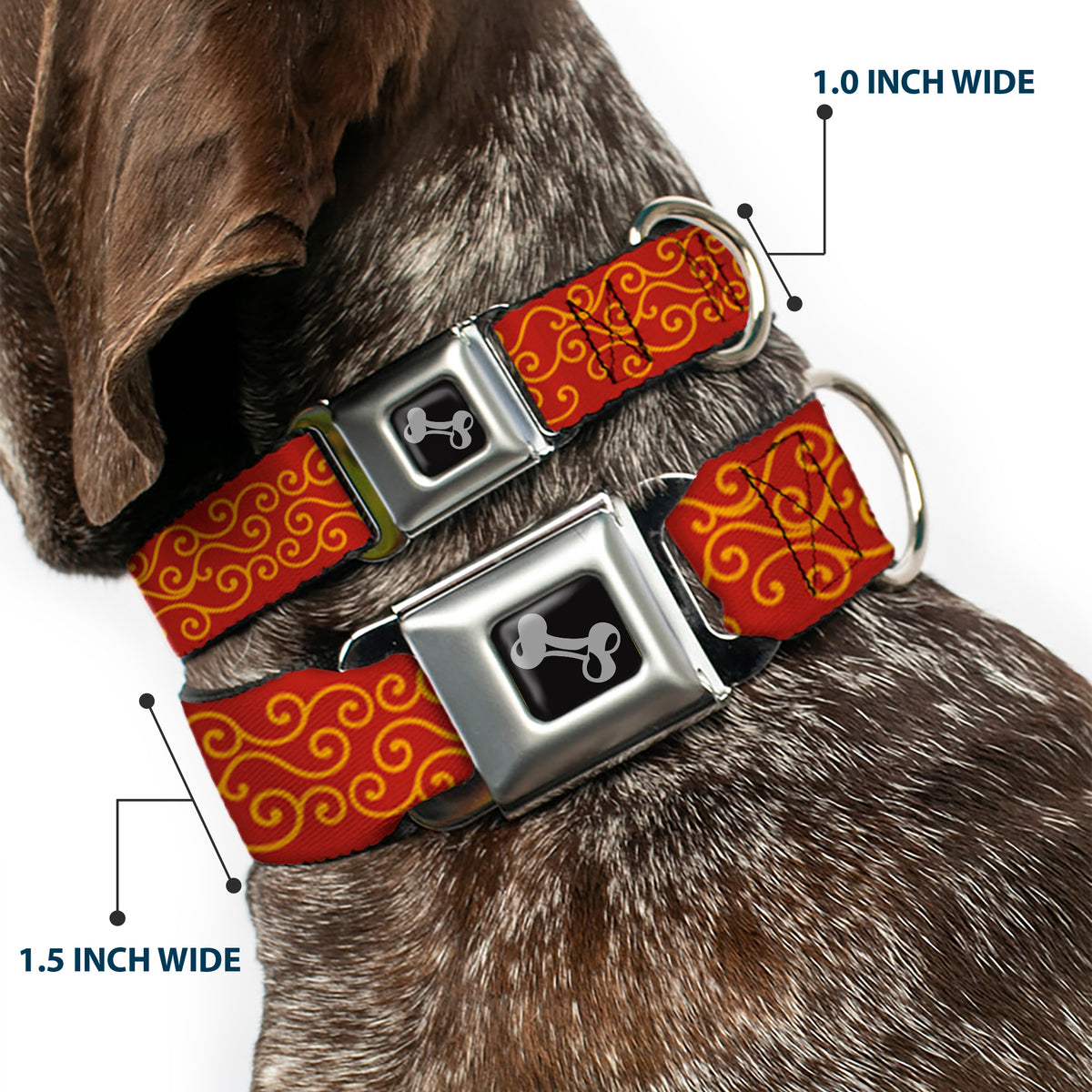 Dog Bone Seatbelt Buckle Collar - Holiday Trim Swirls Red/Gold Dog Collars Seatbelt Buckle Buckle-Down
